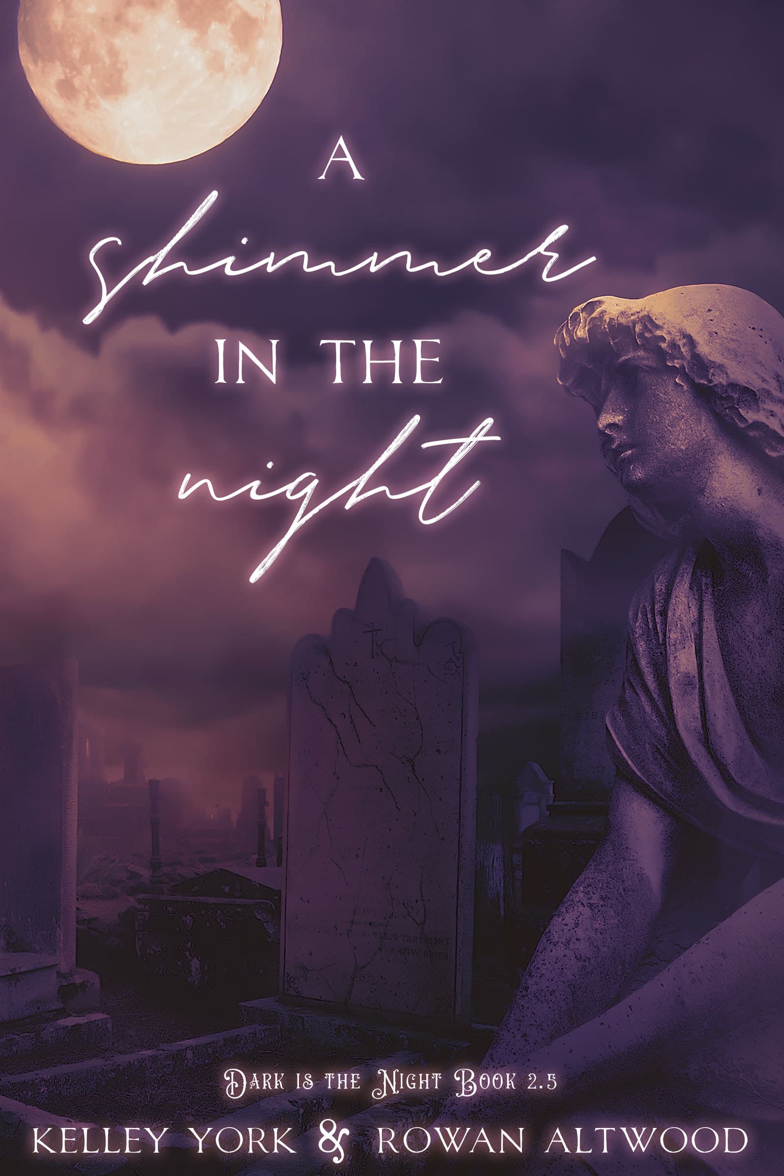 A Shimmer in the Night book cover