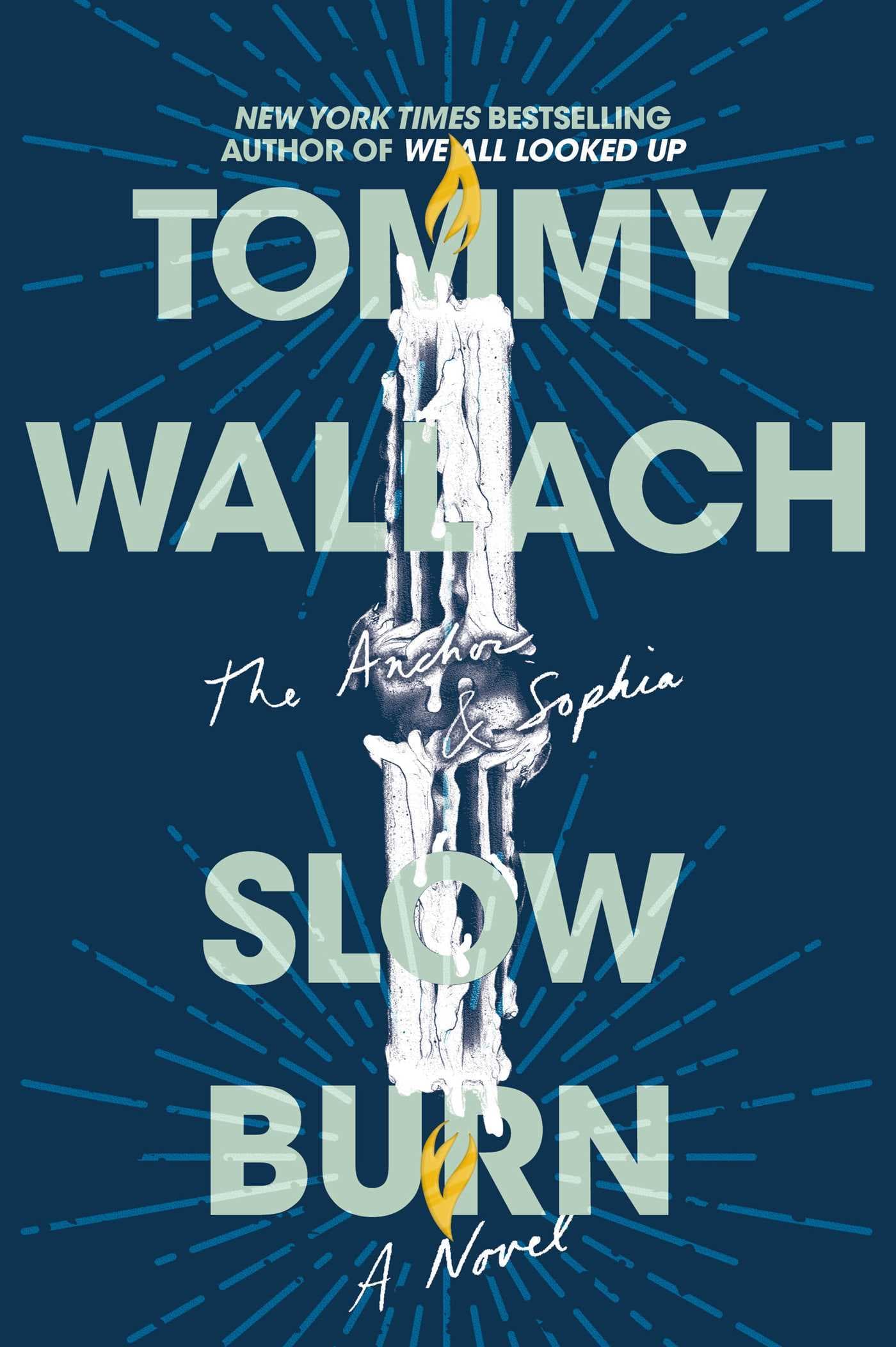 Slow Burn book cover