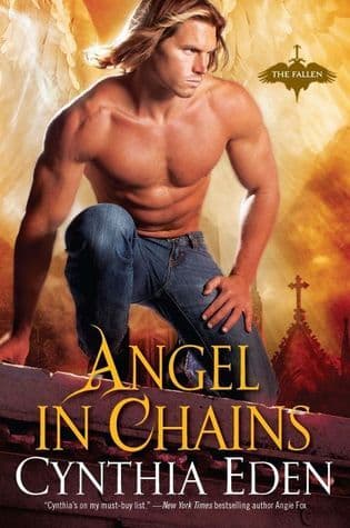 Angel in Chains book cover