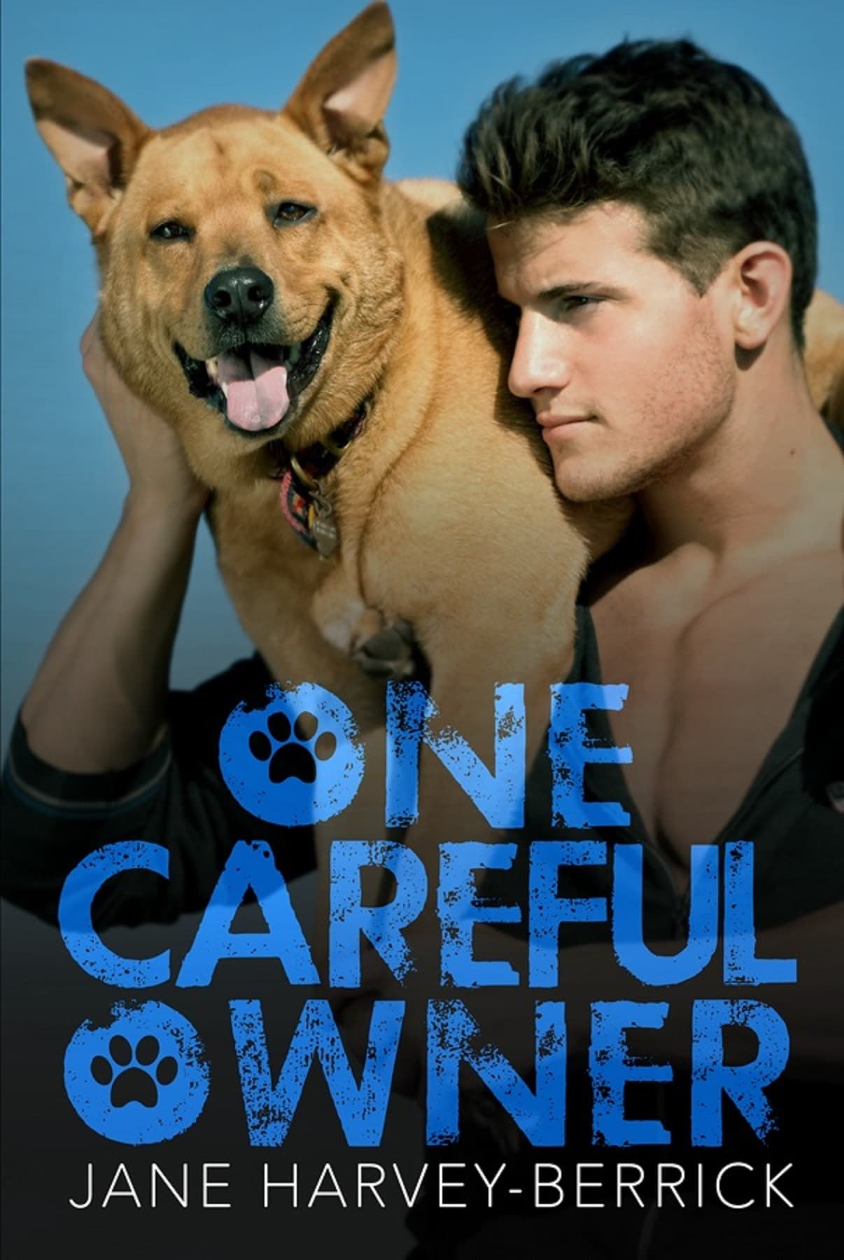 One Careful Owner book cover