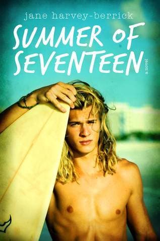 Summer of Seventeen book cover