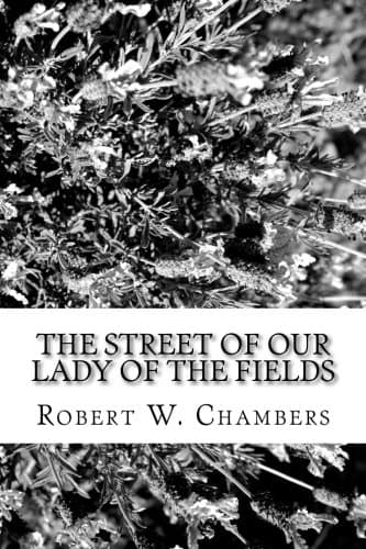 The Street of Our Lady of the Fields book cover