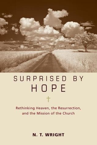 Surprised by Hope Participant's Guide: Rethinking Heaven, the Resurrection, and the Mission of the Church book cover