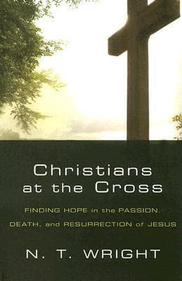 Christians at the Cross: Finding Hope in the Passion, Death, and Resurrection of Jesus book cover