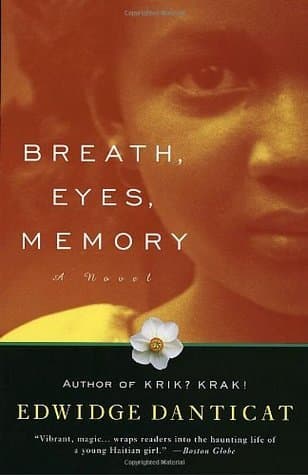 Breath, Eyes, Memory book cover