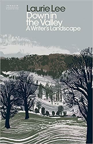 Down in the Valley: A Writer's Landscape book cover