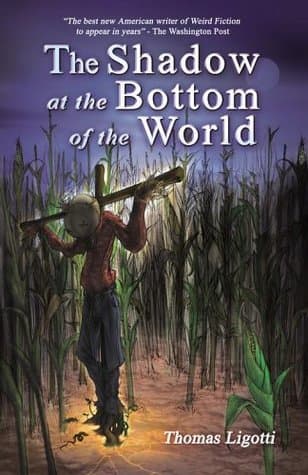 The Shadow at the Bottom of the World book cover