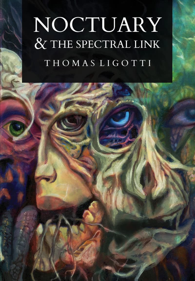 Noctuary & the Spectral Link book cover