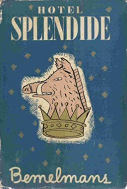 Hotel Splendide book cover