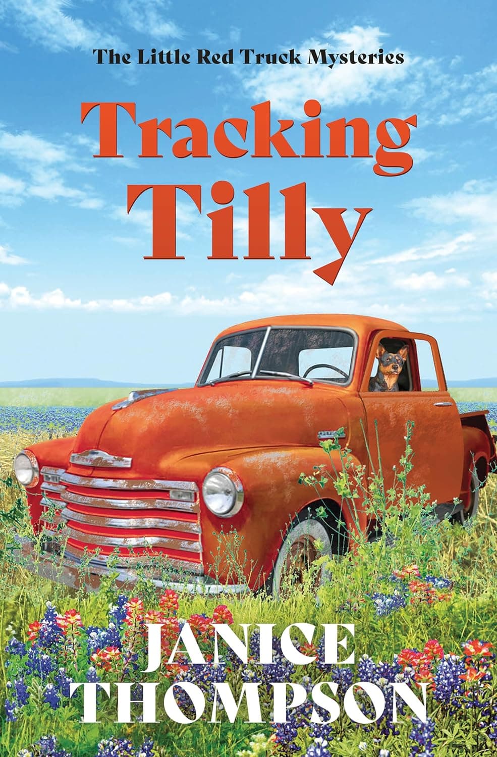 Tracking Tilly book cover