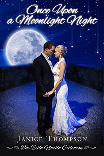 Once Upon a Moonlight Night book cover