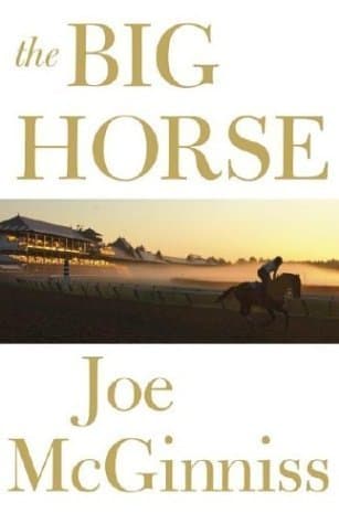The Big Horse book cover