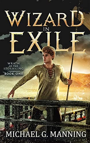 Wizard in Exile book cover