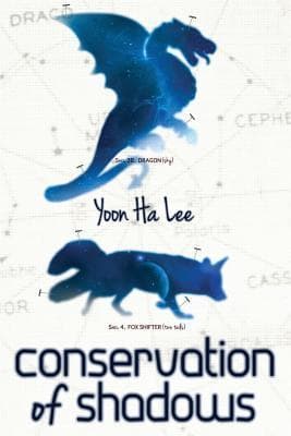 Conservation of Shadows book cover