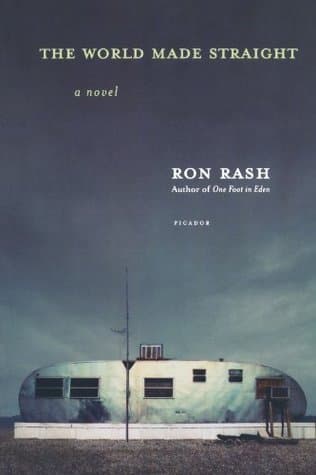 The World Made Straight book cover
