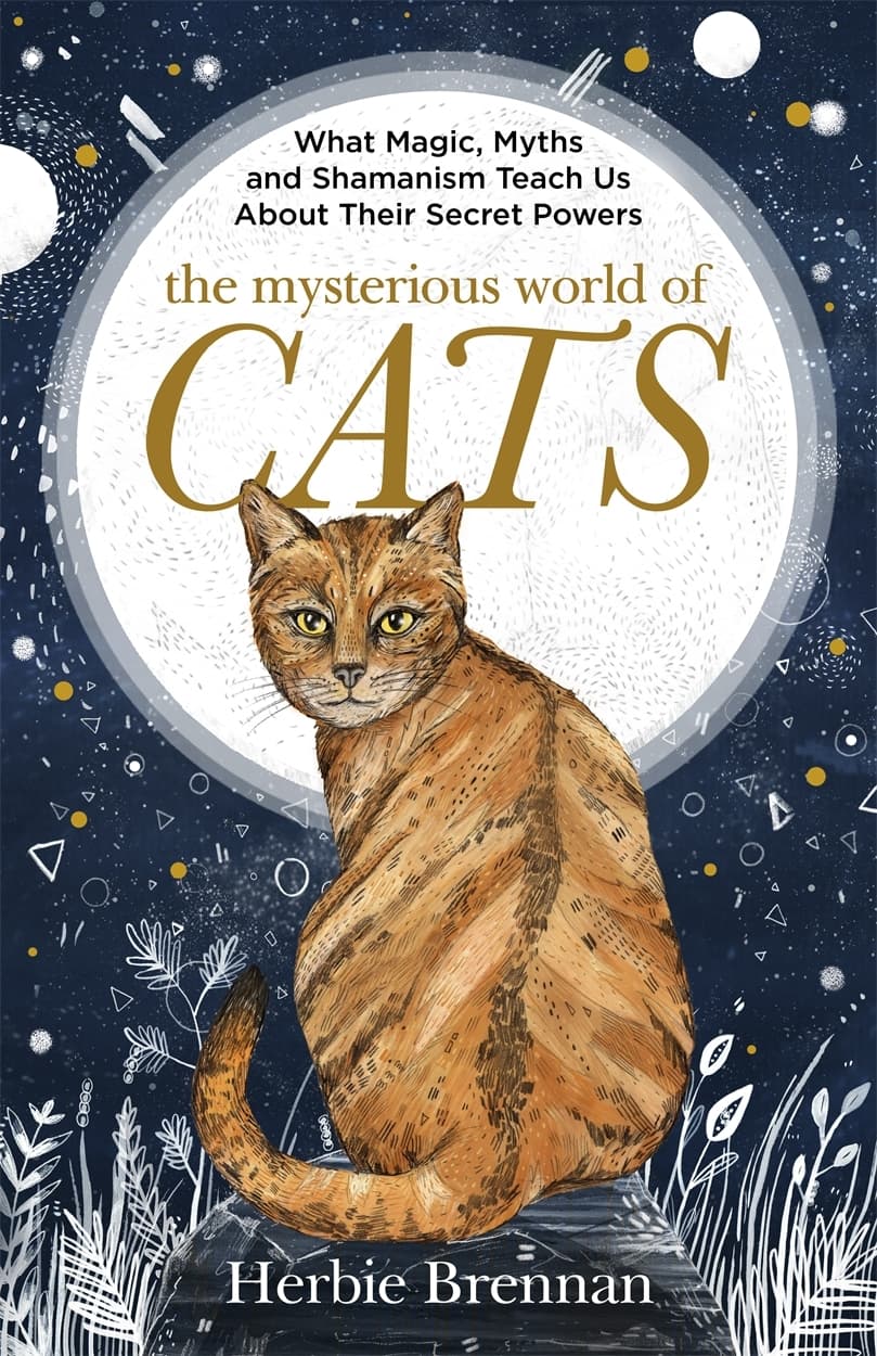 The Mysterious World of Cats book cover
