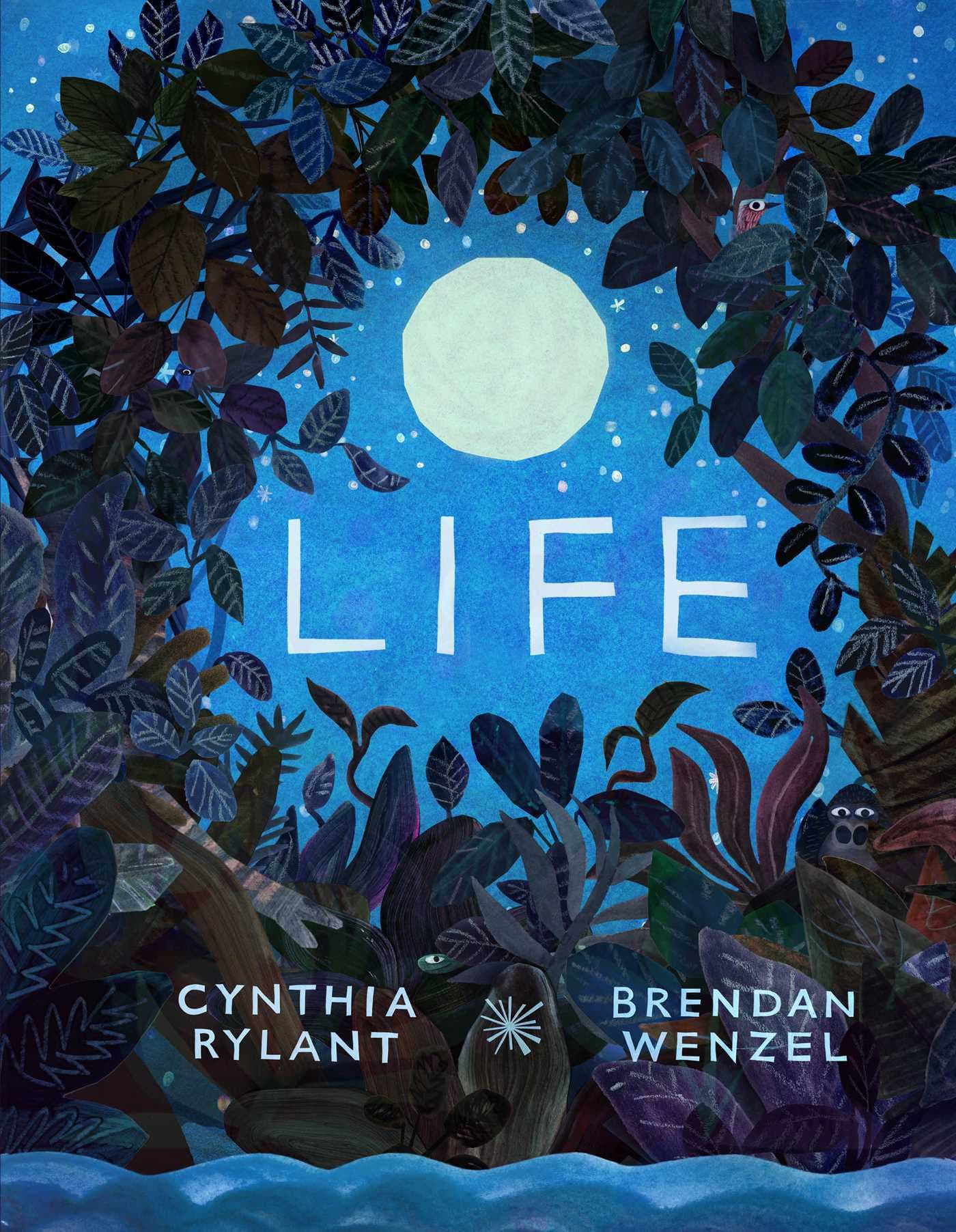 Life book cover