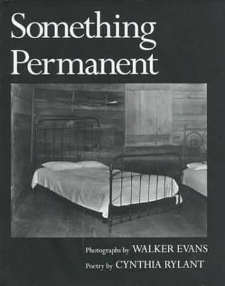 Something Permanent book cover