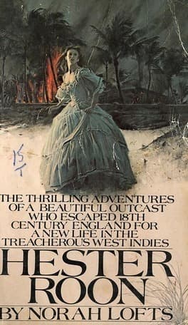 Hester Roon book cover