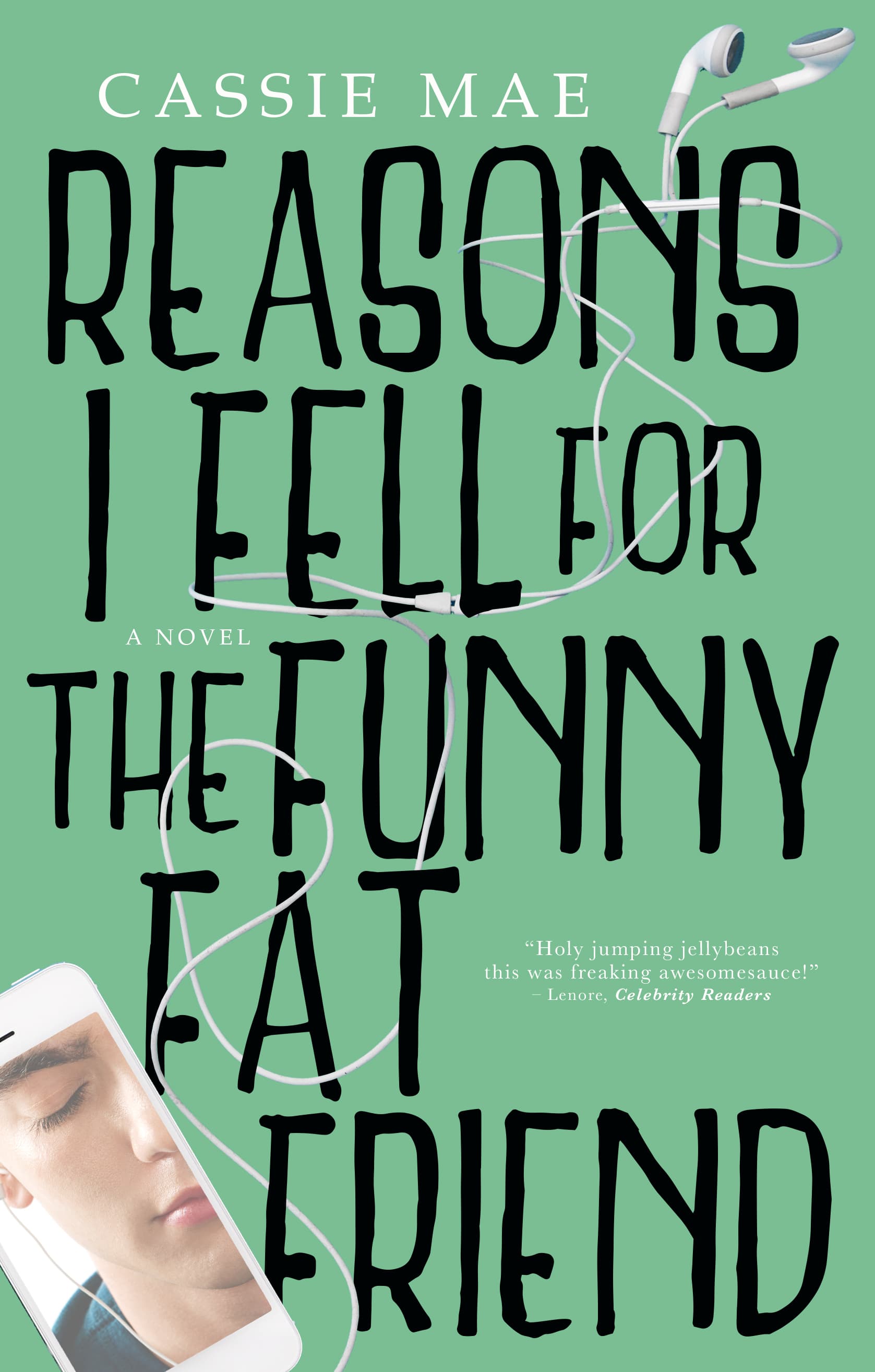 Reasons I Fell for the Funny Fat Friend book cover