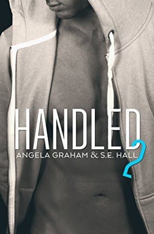 Handled 2 book cover