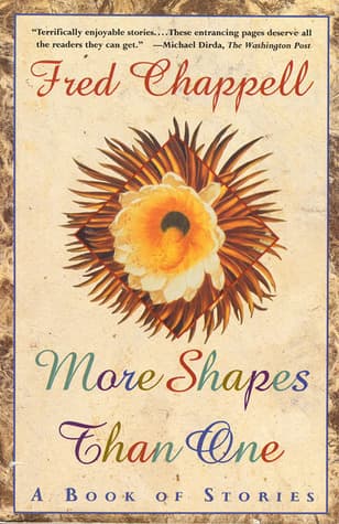 More Shapes Than One: A Book of Stories book cover