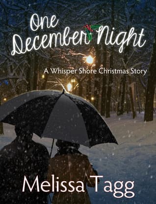 One December Night book cover
