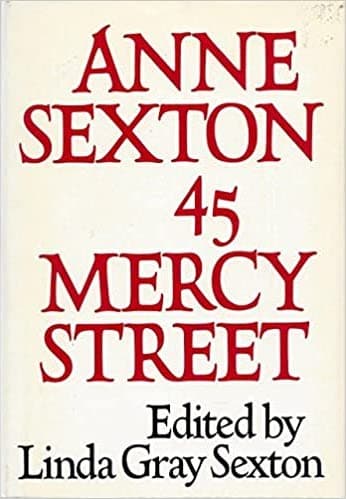 45 Mercy Street book cover