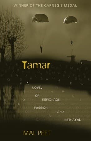 Tamar book cover