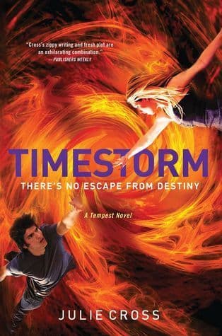 Timestorm book cover