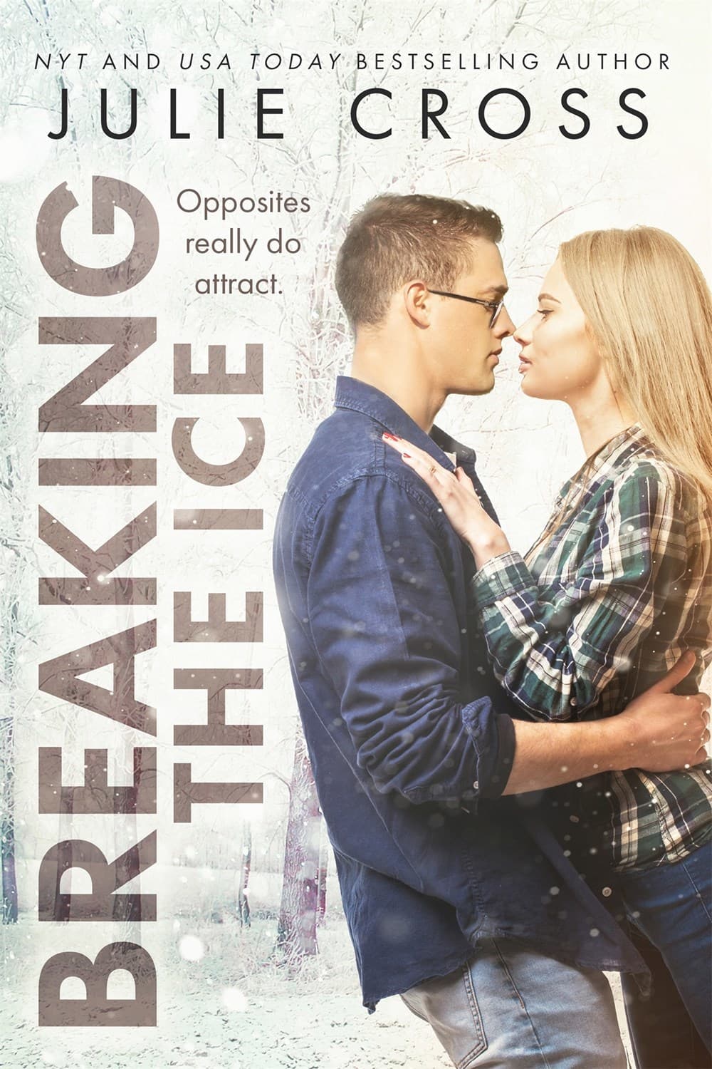 Breaking the Ice book cover