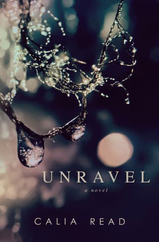Unravel book cover