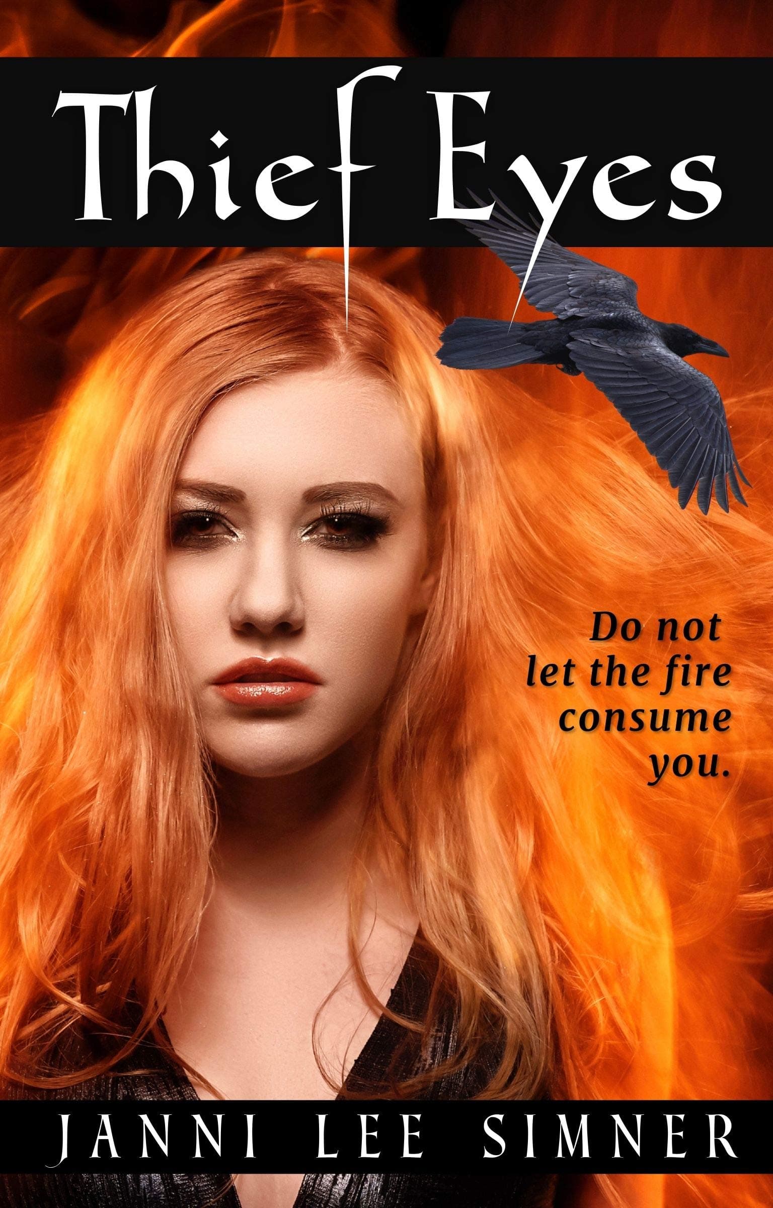 Thief Eyes book cover