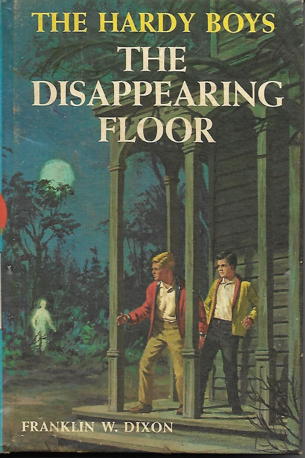 The Disappearing Floor book cover