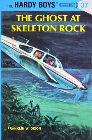 The Ghost at Skeleton Rock book cover