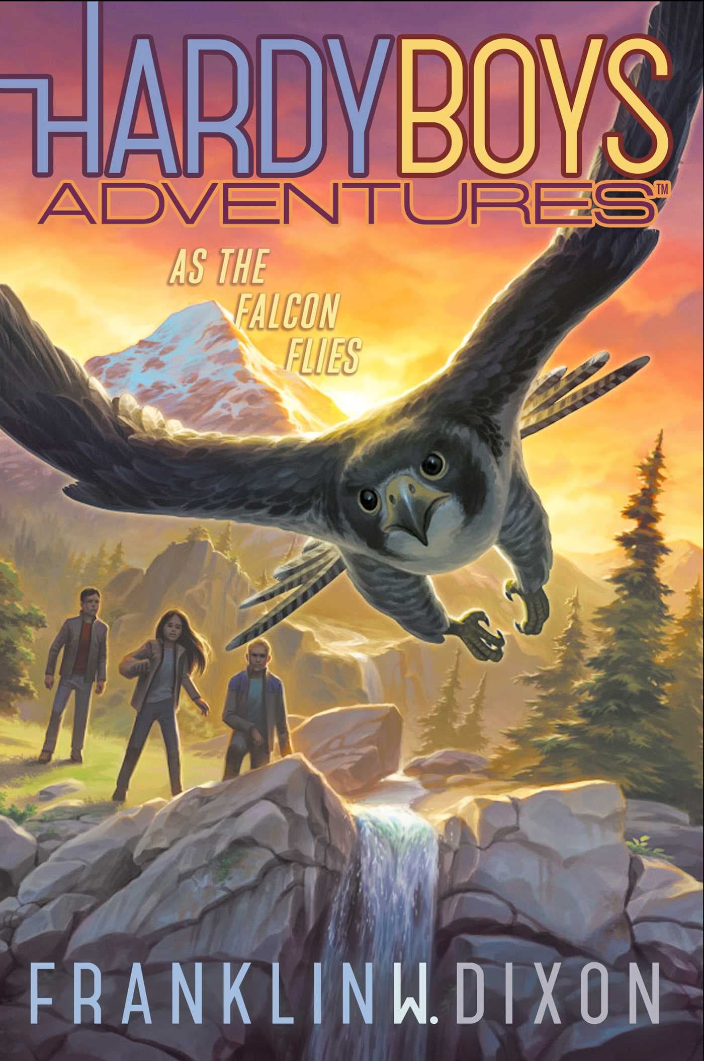 As the Falcon Flies (24) book cover