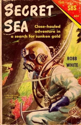 Secret Sea book cover