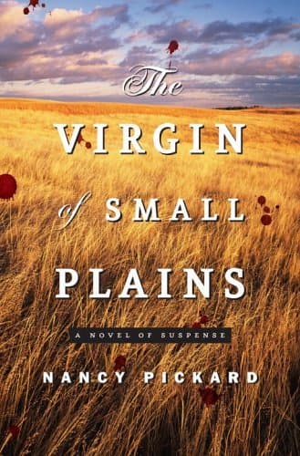 The Virgin of Small Plains book cover