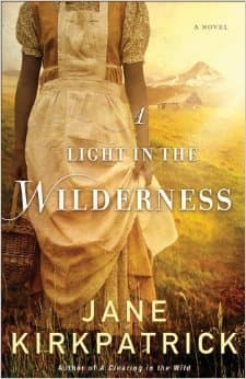 A Light in the Wilderness book cover