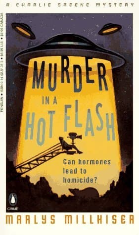 Murder in a Hot Flash book cover