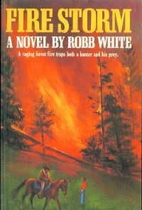 Fire Storm: A Novel book cover