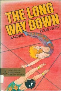 The Long Way Down book cover
