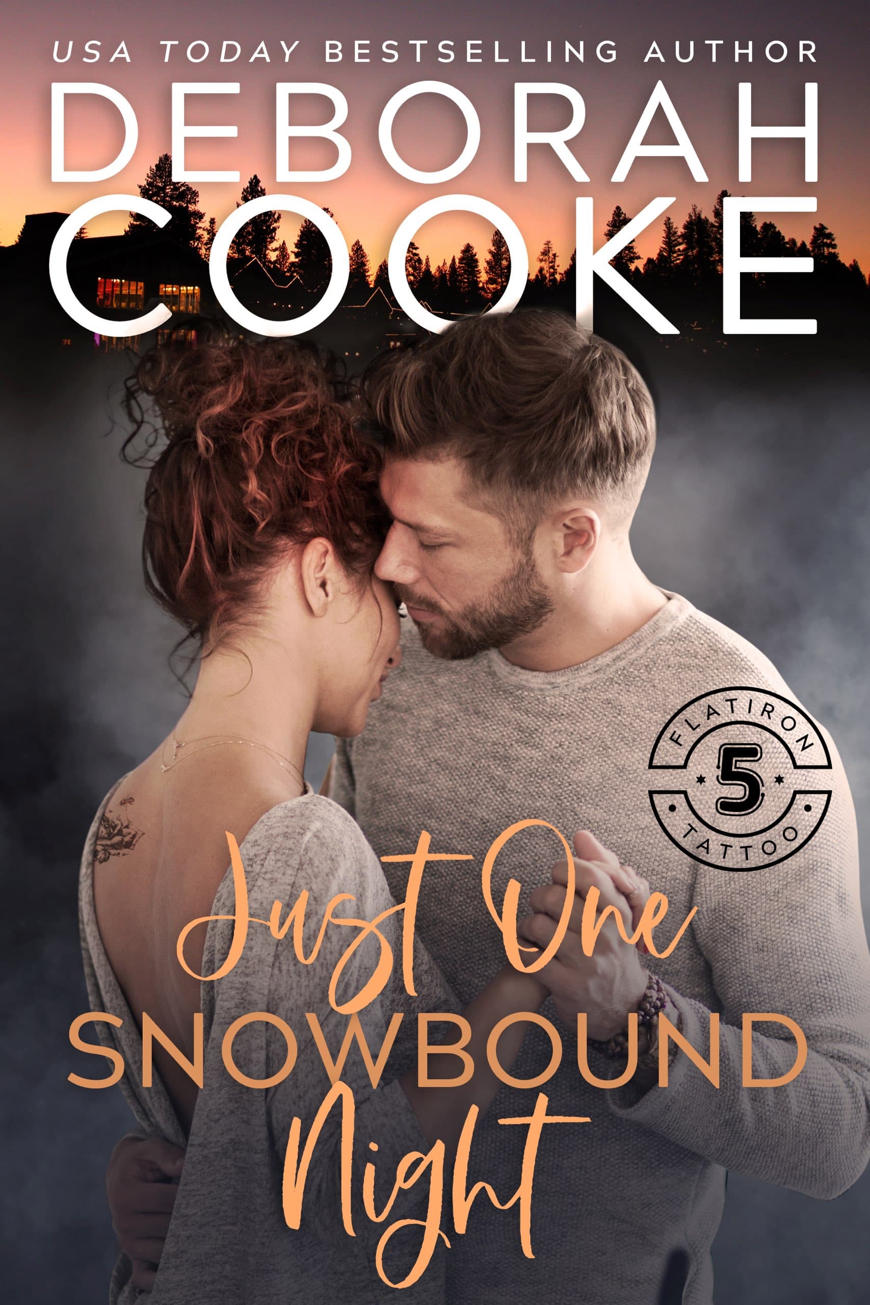 Just One Snowbound Night book cover