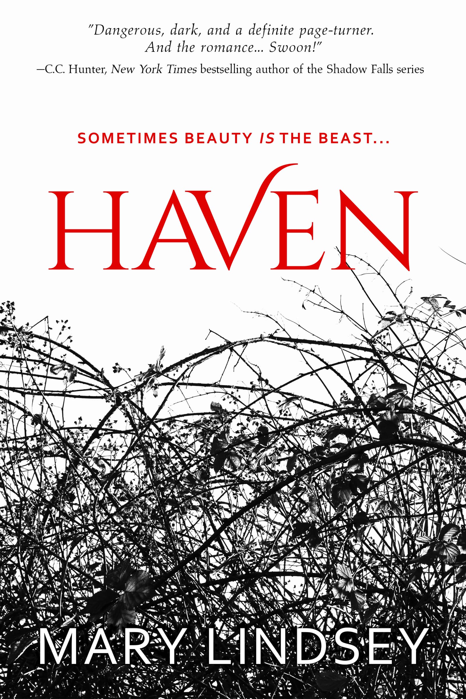 Haven book cover