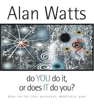 Do You Do It, or Does It Do You? How to let the universe meditate you book cover