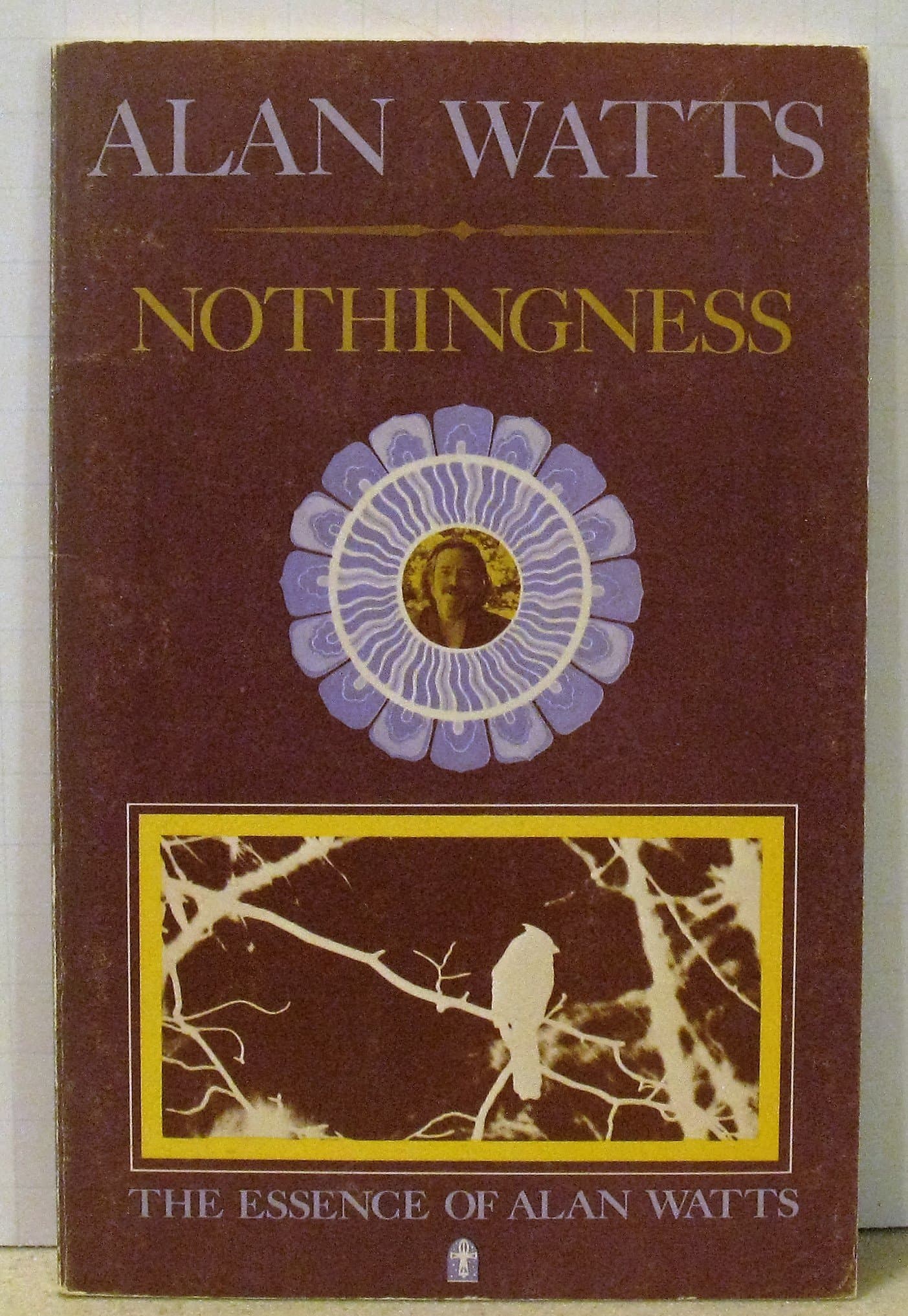 Nothingness book cover