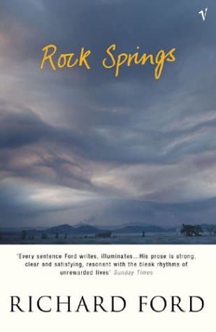 Rock Springs book cover