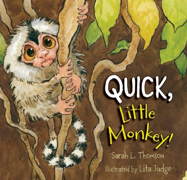Quick, Little Monkey! book cover