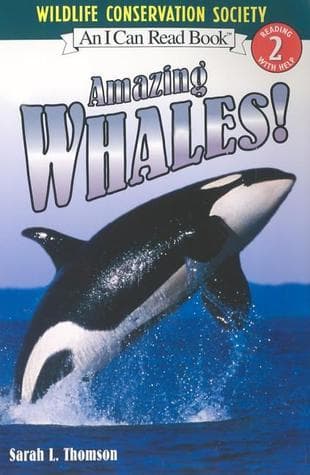 Amazing Whales! book cover