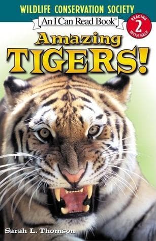 Amazing Tigers! book cover